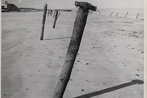 Browse A Teller mine on a pole on Utah Beach