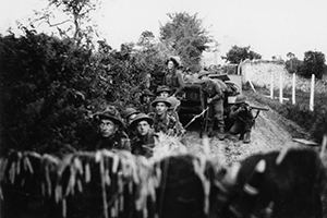 Browse Troops of 130th Brigade, 43rd (Wessex) Division