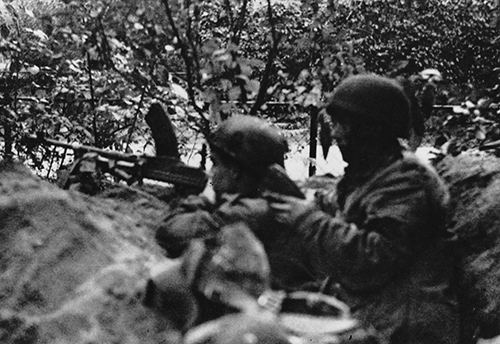 A Bren gun in positions in a wood.