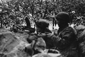 Browse A Bren gun in positions in a wood.