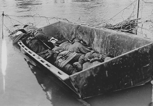 American dead from the 84th Division