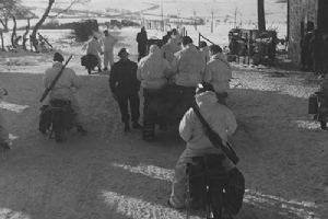 Browse British Airborne Troops in the Ardennes