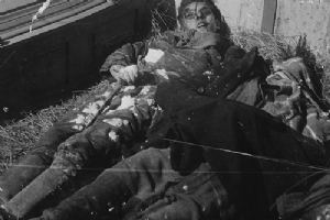 Browse Casualties in the Ardennes