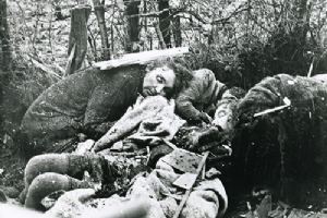 Browse Casualties of fighting around Stavelot