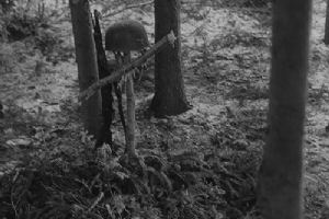 Browse Grave marked with a cross made of branches