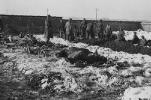 Browse German prisoners of war dig graves