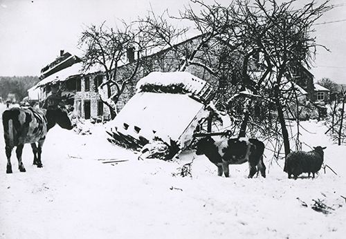 A disabled Panther of 2 SS Panzer Division