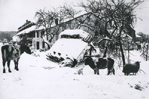 Browse A disabled Panther of 2 SS Panzer Division