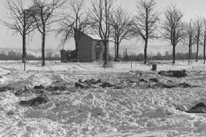 Browse Attrocities committed by German troops in the vicinity of Five Points