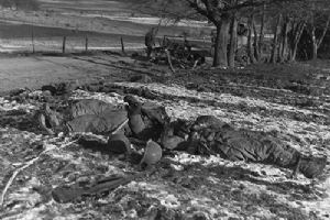 Browse Dead american soldiers from the 25th Cavalry