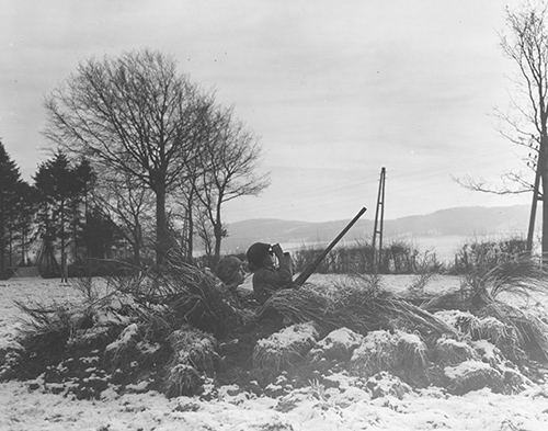 Troops from 7th Armoured Division