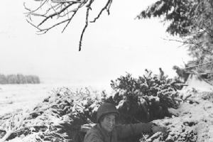 Browse A soldier of C Bty, 12th Fd Arty Bn