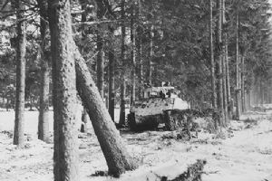 Browse A Sherman moving along a forest road near Bastogne